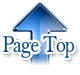 Page Top